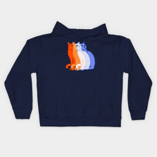 The faces of a Cat Kids Hoodie